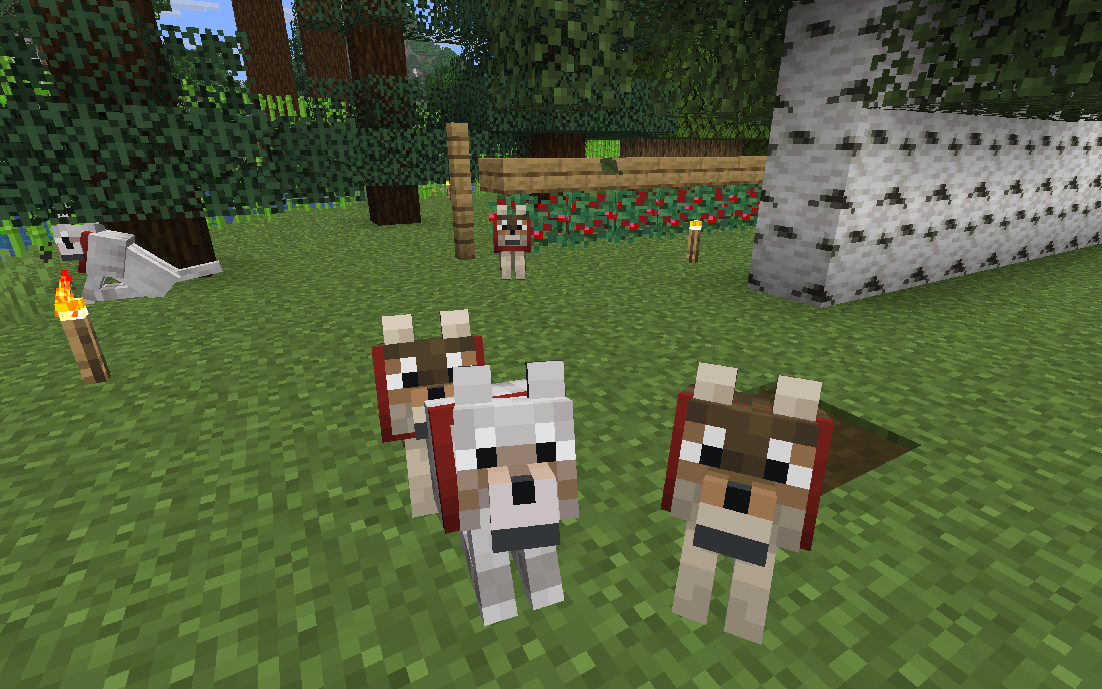 Minecraft Server